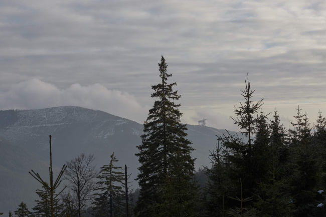 ��������� ����� ��������� ����� � Jakub Skokan, Martin Tůma / BoysPlayNice