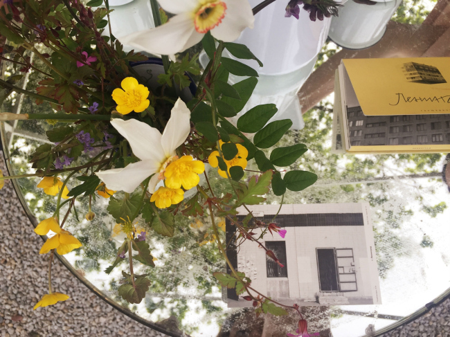 ��������� ���. ������ �����-���-����, �������, ��� 2016 � �8 ����� � Alphabet City