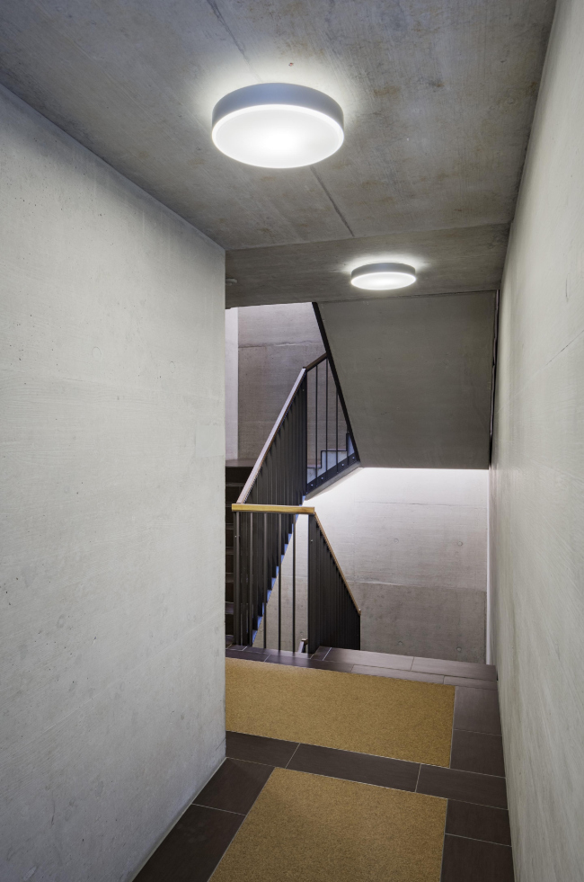 ����� �������� ���������. ����: Arch Photo, Inc. / Eduard Hueber � baumschlager eberle