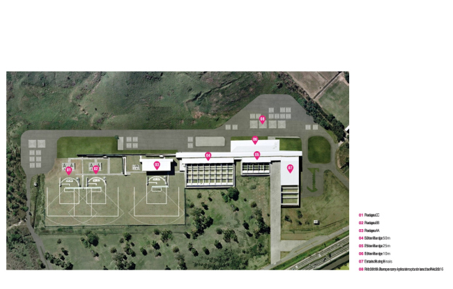 ������������ ���������� �����  � Vigliecca & Associados