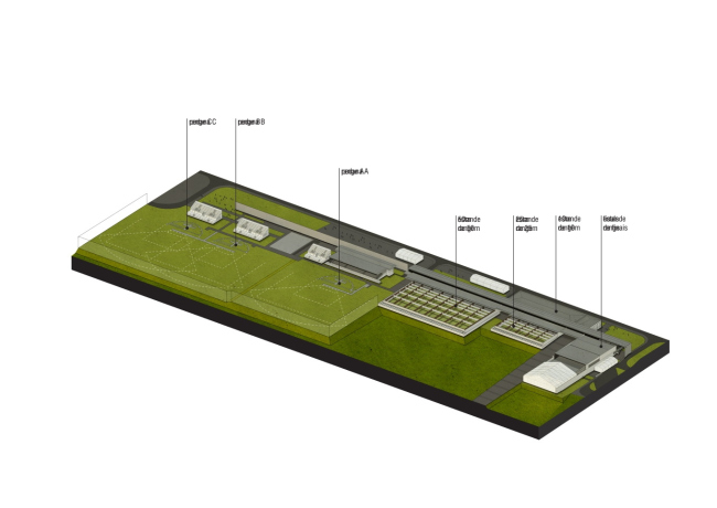 ������������ ���������� �����  � Vigliecca & Associados