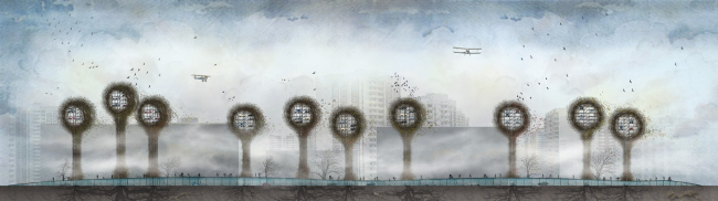 ���������������� ��������-������ �
��������� ������. ���������� ����� ����������� � ������� ����������