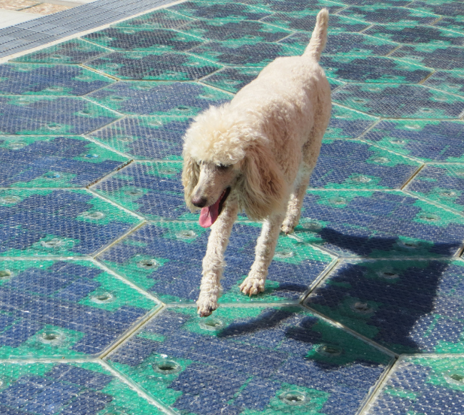 ���������� � ����� solarroadways.com
