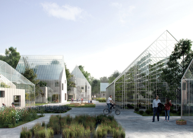 ����������� � ����� zinco.ru