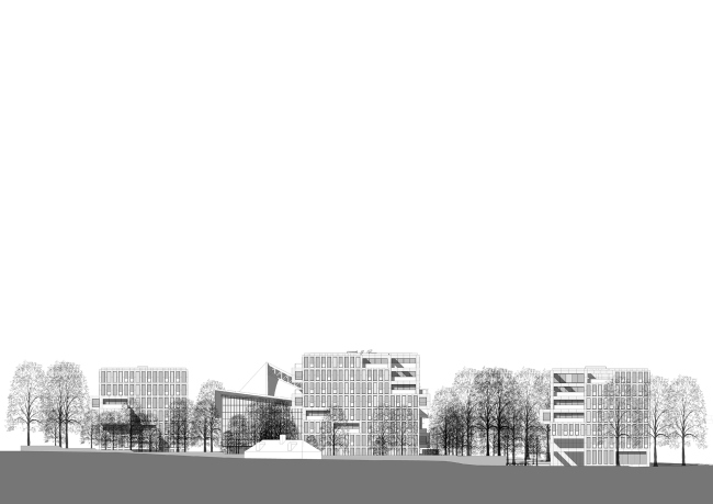 ������� Holland Green � OMA