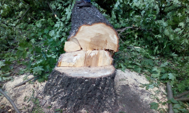 ���������� ������������� ������ ���������� (������������ ������ ������ �������)