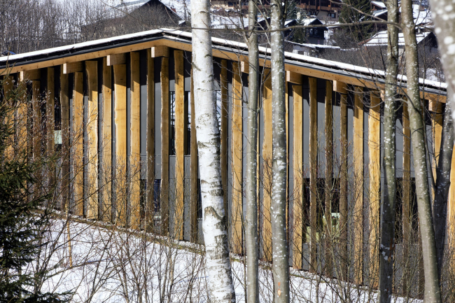 ���� � ��������� �������a � Michel Denance