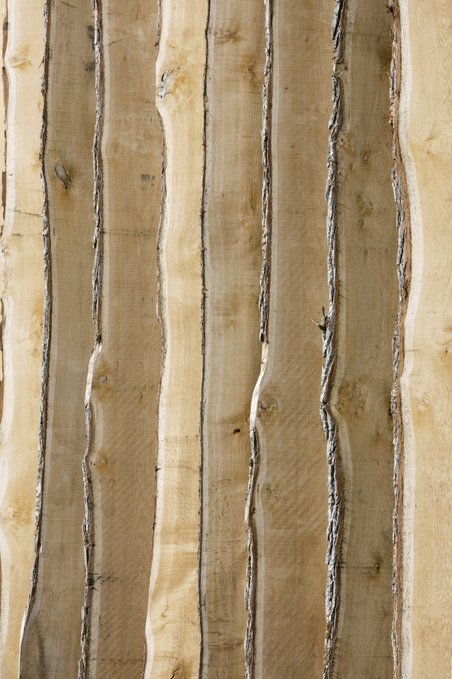 ���� � ��������� �������a � Michel Denance