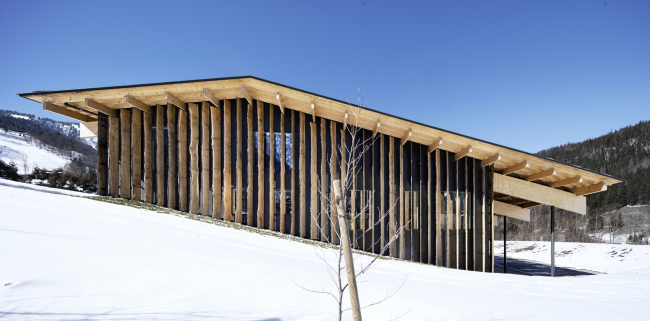 ���� � ��������� �������a � Michel Denance