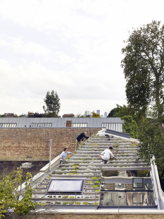 ��� Garden House � �����, ������. 
Hayhurst and Co. ���� � Killian O′Sullivan