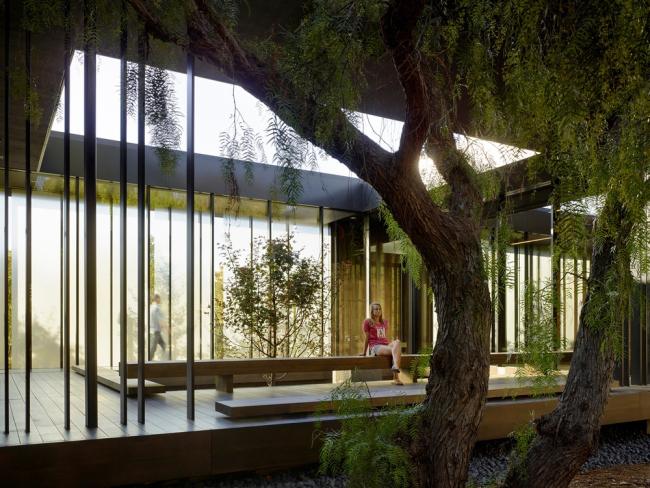 ����� ��������� Windhover � Matthew Millman