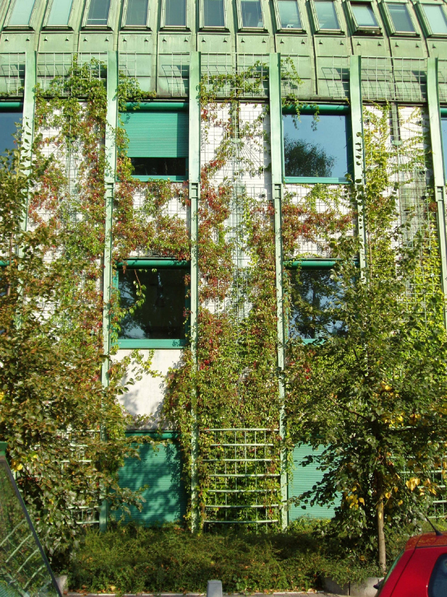 ���������� ����������� ������������. ��������� ����� � �������������. ���������, 2000. ���������� � ������������� ���������� �Budzynski & Badowski�