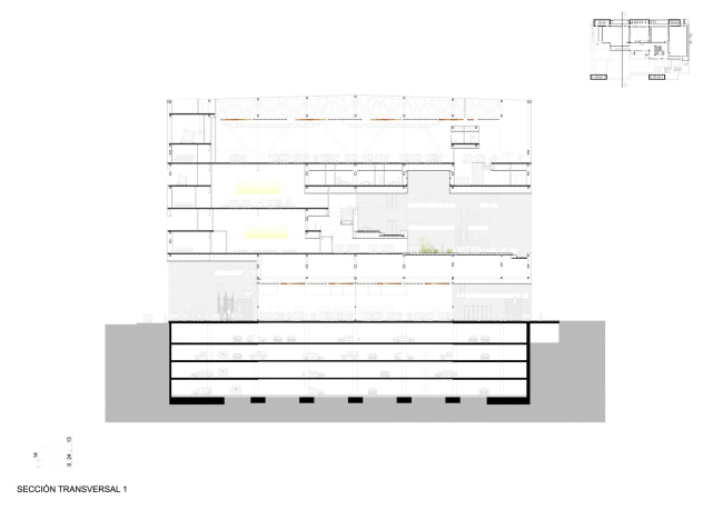 ��������-����� ���� � IDOM