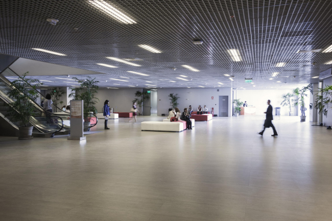 ��������-����� ���� � Antonio Sorrentino / PHOSS