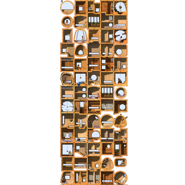 ���������(�)��. ��������� ������ ����� ������. ������ �������������� ���� ��������. �������� �������. �����, 2016