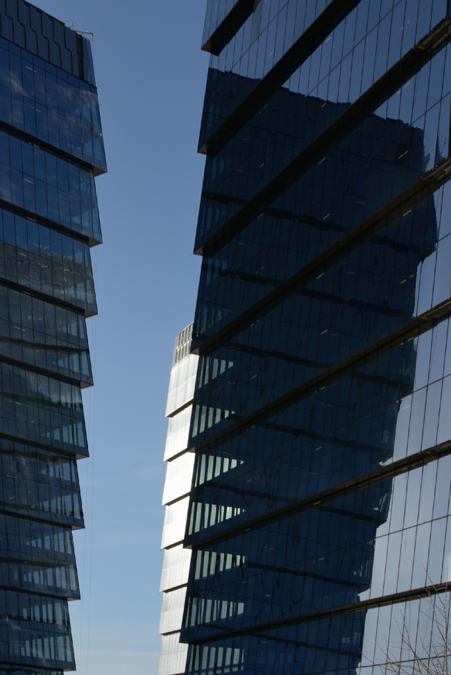 Multifunctional complex "Lotus". Construction 2011-2014. Photograph � Aleksey Naroditskiy