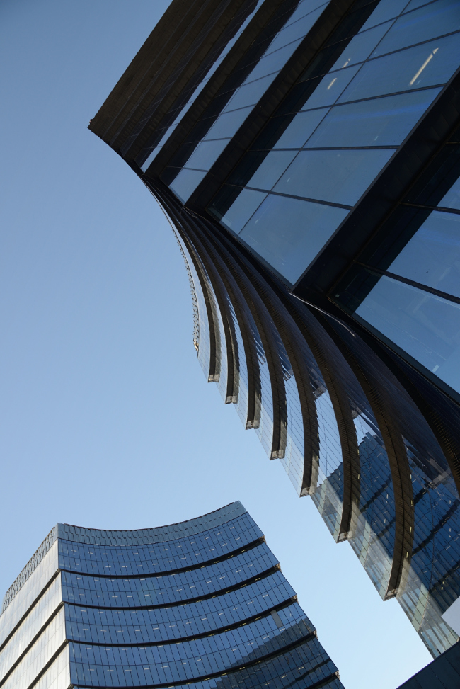 Multifunctional complex "Lotus". Construction 2011-2014. Photograph � Aleksey Naroditskiy