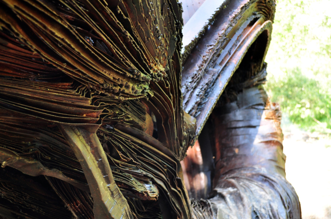 ������ ��������� � 5. ������� �����. ���������� 2016. ���������� � �������� ������