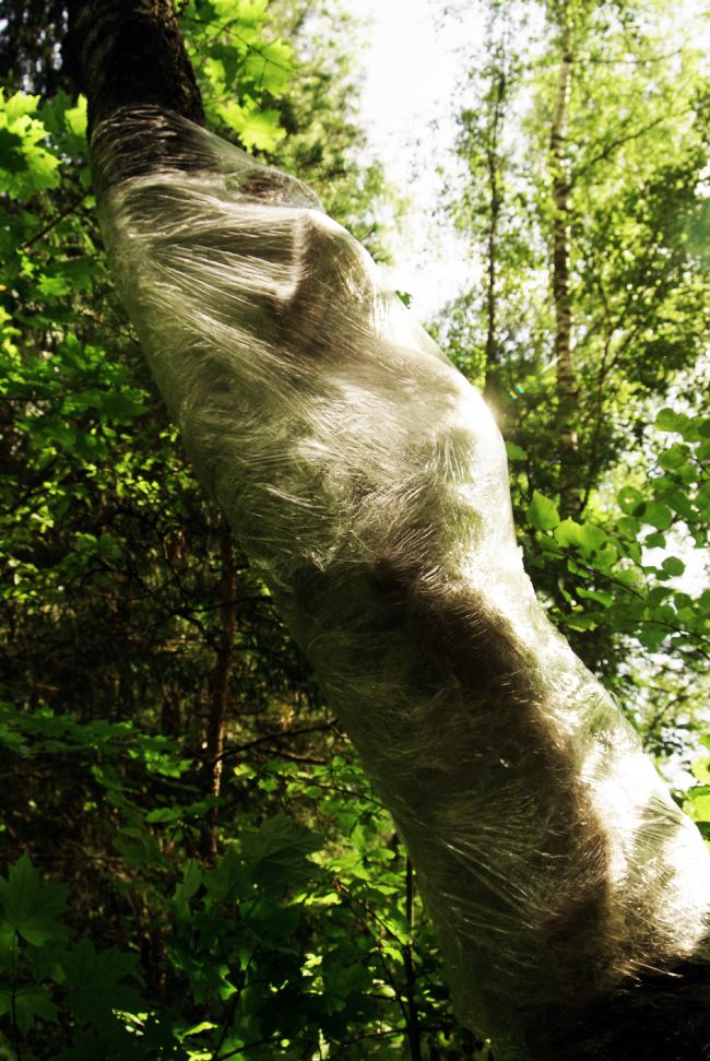 ��������� ����������. ����� �������. ���������� 2016. ���������� � ������� ��������