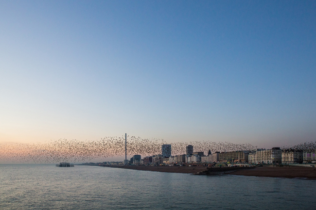 ��������� ����� i360 � ��������, �������������� � British Airways i360