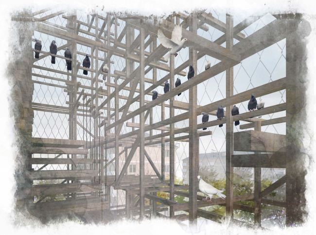 �������� ������ ��������� ���������� �� ���� ����������� ������. ������ ������� ���������. ����, 2016