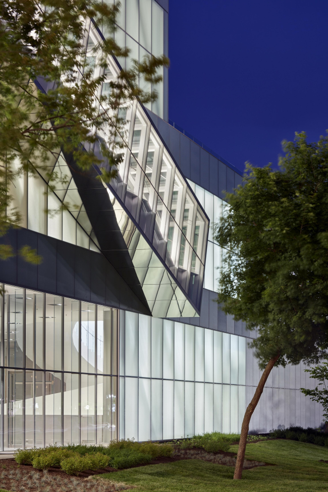 ������������ ����� ������� �������� ������� � �������� ����� �������� � Bruce Damonte