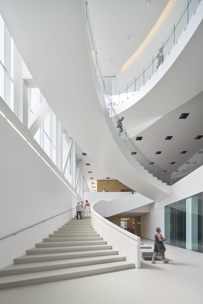 ������������ ����� ������� �������� ������� � �������� ����� �������� � Bruce Damonte