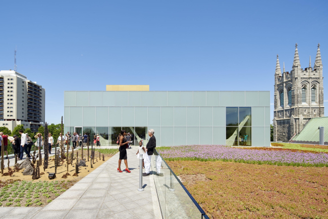 ������������ ����� ������� �������� ������� � �������� ����� �������� � Bruce Damonte