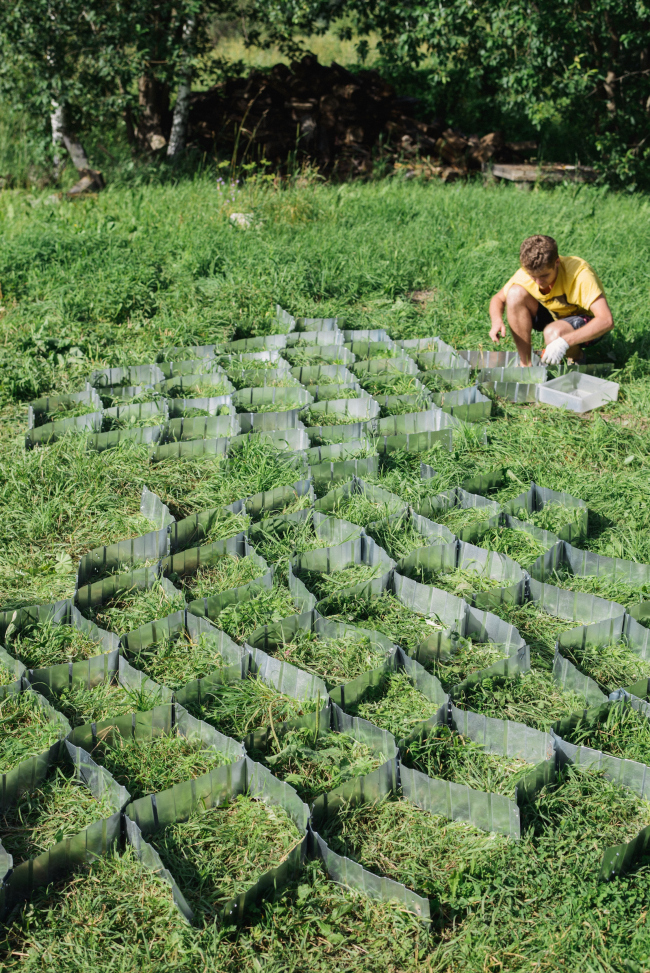 ����. Wowhaus. ���������� 2016. ������������� ���������� � ����� ����