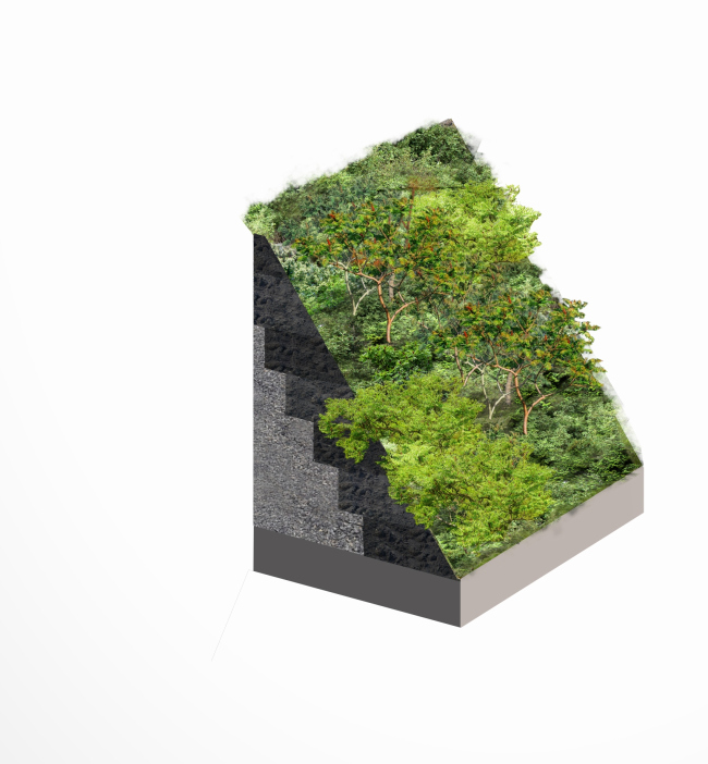 ���� ���������-������ � West 8