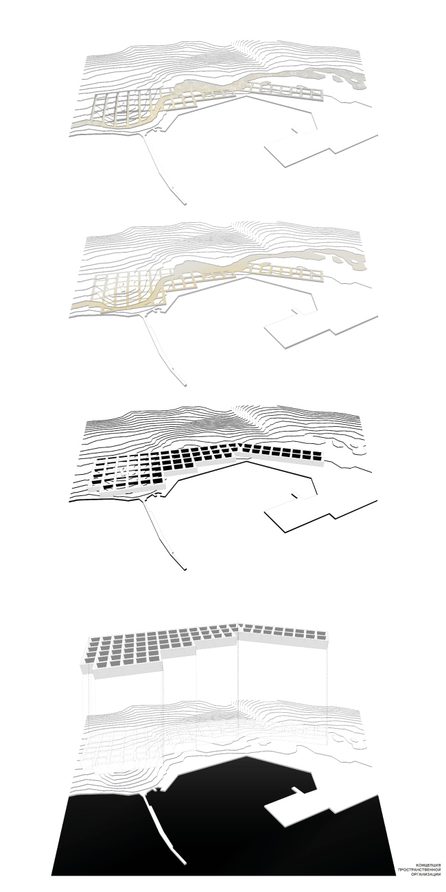 ������������� ������������� ������ ��������. ��������� ������ ���� ����������