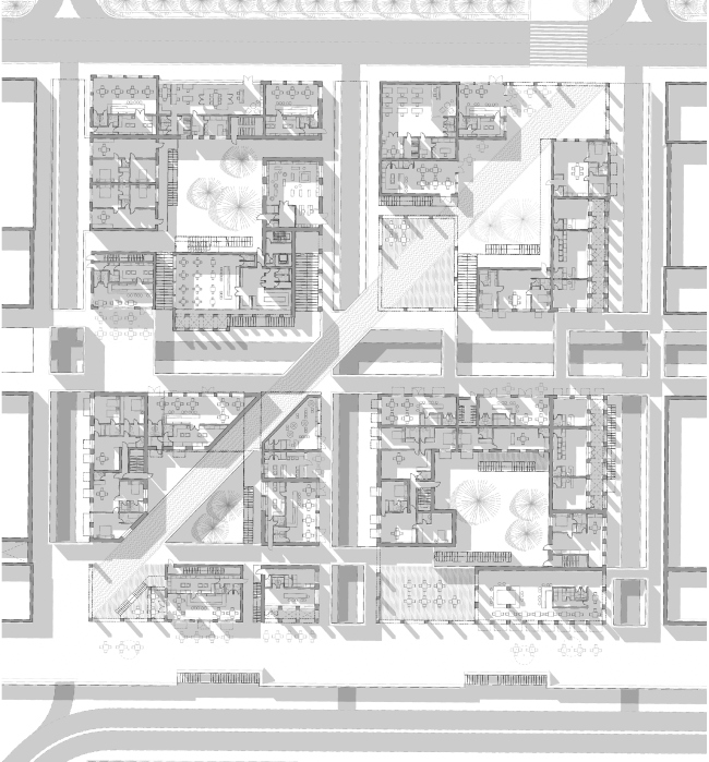 ������������� ������������� ������ ��������. ��������� ������ ���� ����������