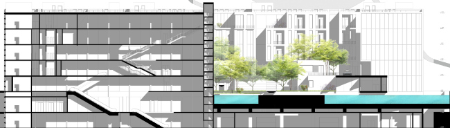 ����� ����������� ��������� � �����������. ��������� ������
������� ��������