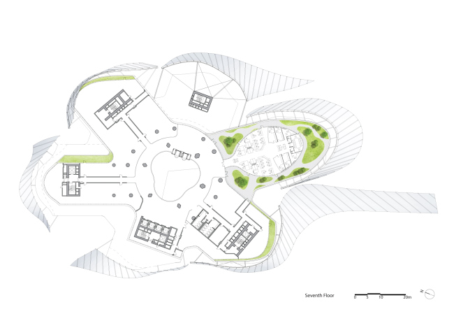 ����� ������� Xin Hee � MAD