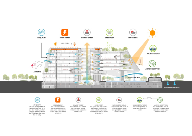 ����� ������� Xin Hee � MAD