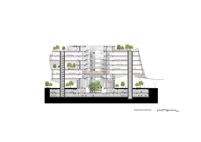 ����� ������� Xin Hee � MAD