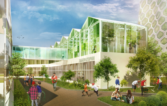 ���������������� �������� �������������� � ������. ��������� ������ ����� ����������, �����������. ������, 2016