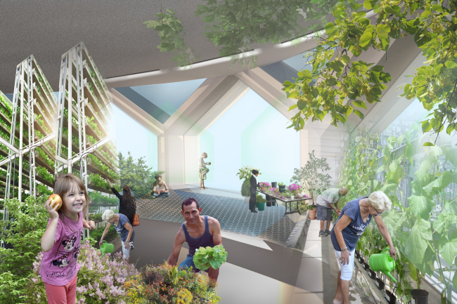 ���������������� �������� �������������� � ������. ��������� ������ ����� ����������, �����������. ������, 2016