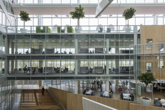 ������� ������ The Edge � Dirk Verwoerd. ������������� PLP Architecture