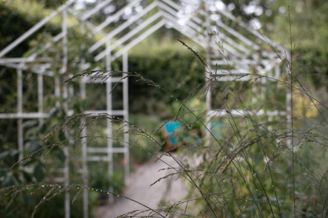 ��������� ���. ������ �����-���-����, �������, ������ 2016 � �8 ����� � Alphabet City, ���������� �������� �����������