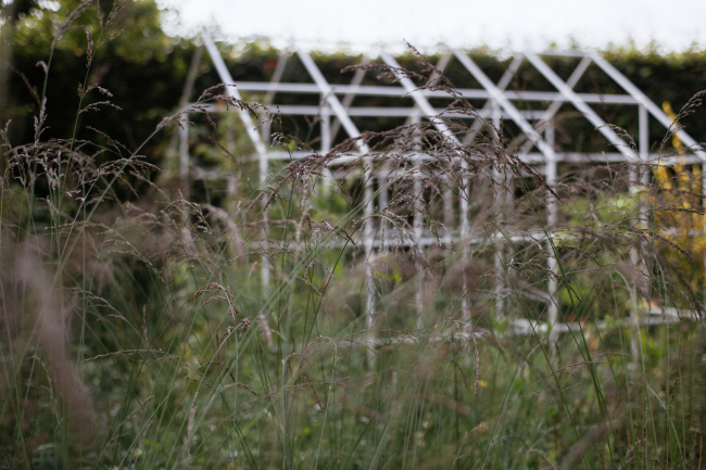 ��������� ���. ������ �����-���-����, �������, ������ 2016 � �8 ����� � Alphabet City, ���������� �������� �����������