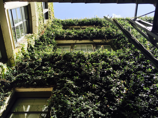 ����-�������� David Baker Architects � David Baker Architects