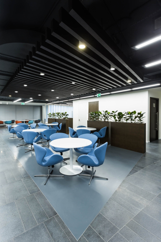 ���� �������� �����������. ��������, ����������, 2016 � Aurora Group