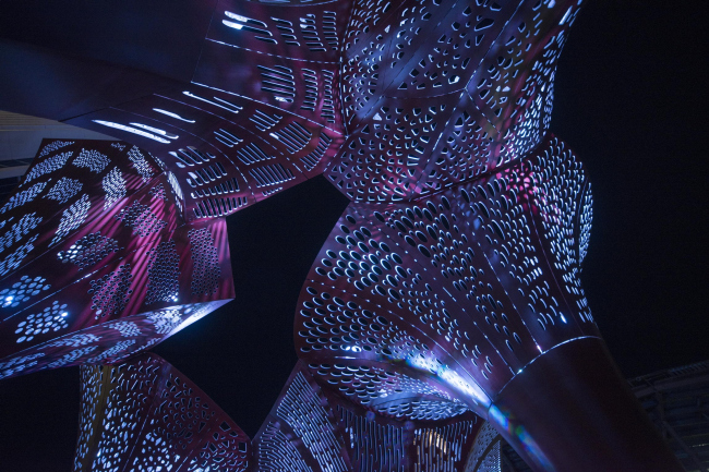 ����� �� �������� ���-����� � Hans Joosten