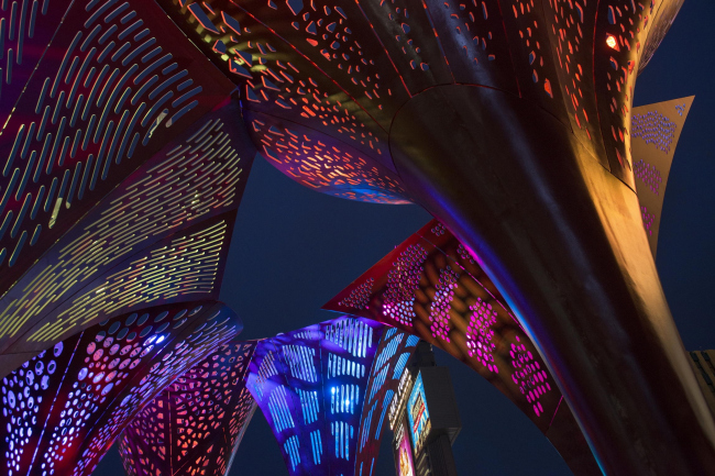 ����� �� �������� ���-����� � Hans Joosten