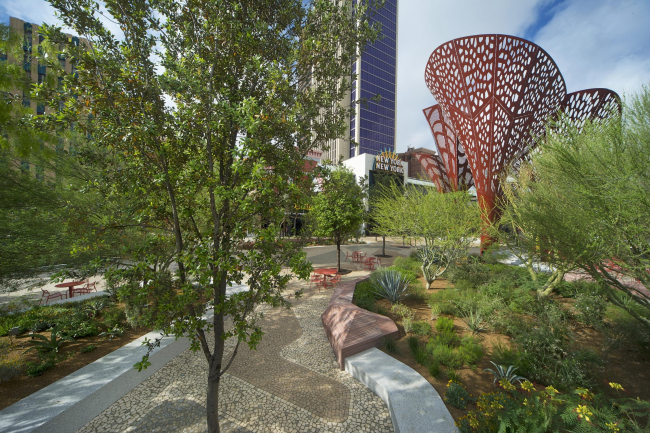 ����� �� �������� ���-����� � Hans Joosten