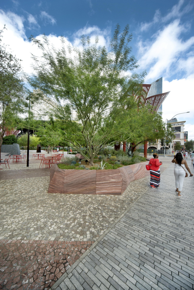 ����� �� �������� ���-����� � Hans Joosten