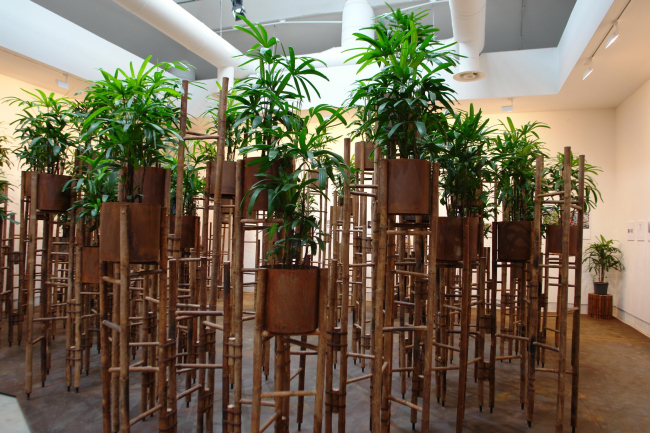 ����������� ������������ ����������� �� ���� ���� � ���� �������