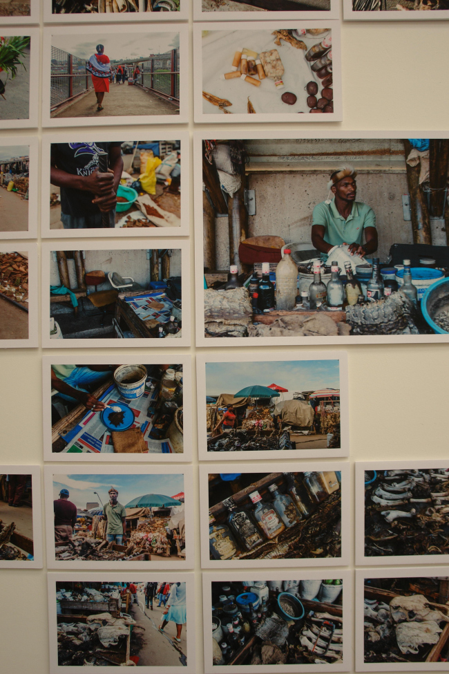 ���������� � ������������� ����������� � ������� � ���� �������