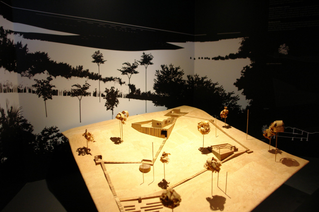 studio tamassociati. �������� ������� ������ ���� ���� � ������� � ���� �������